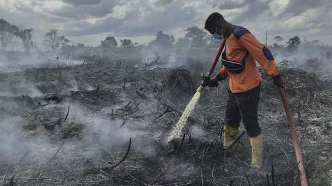 Ada 9 Daerah di Riau Ditetapkan Status Siaga Darurat Karhutla, Ini Rinciannya