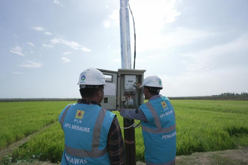 Dukung Pengembangan Pertanian di Merauke, PLN Listriki Area Sawah Garapan Kementan-TNI