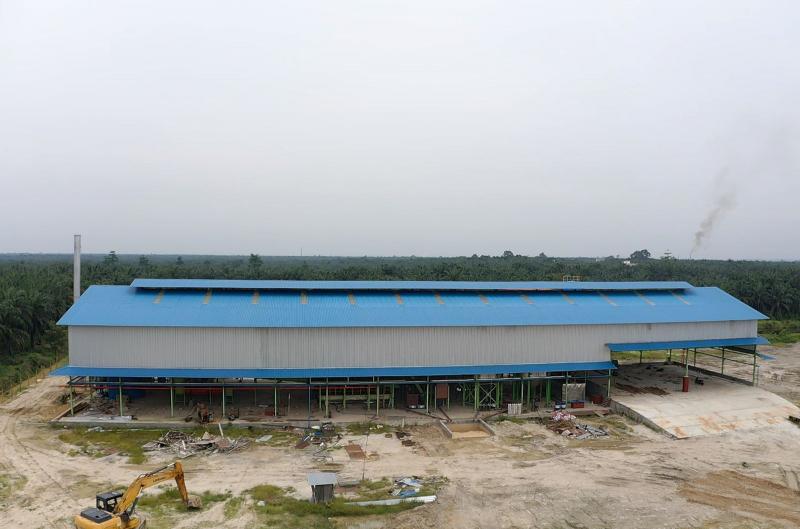 Dukung Pertumbuhan Ekonomi Daerah, PLN Pasok Listrik Pabrik Kelapa Sawit di Indragiri Hilir Riau