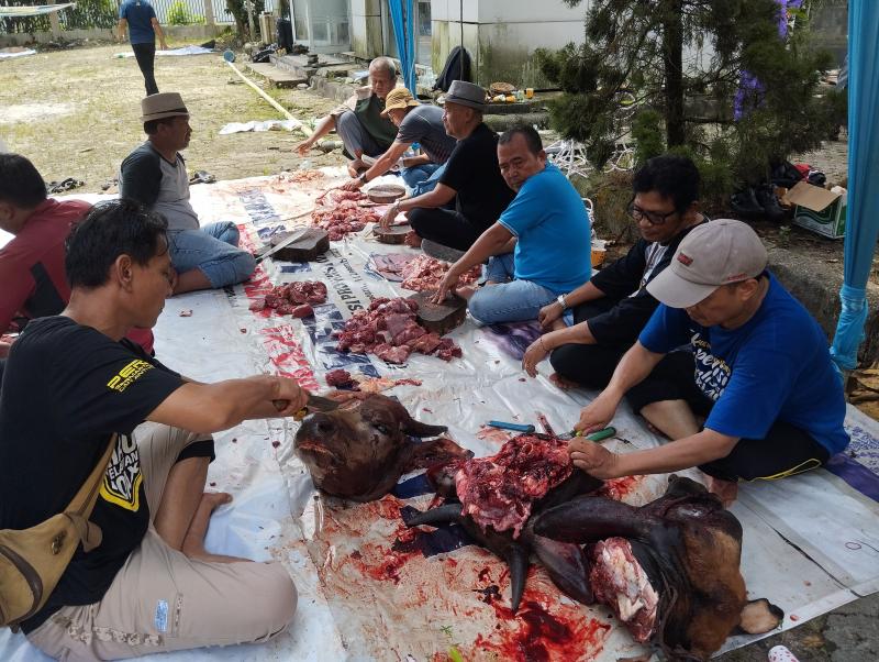 Semangat Berkurban dan Berbagi di Idul Adha, PWI Riau sembelih 5 Sapi dan 2 Kambing