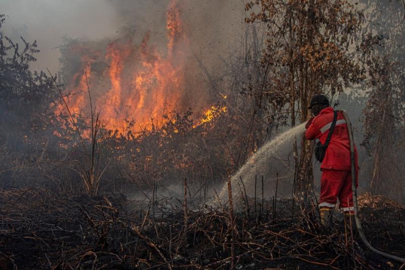 Hotspot Riau Capai 62 Titik, Mayoritas di Inhil