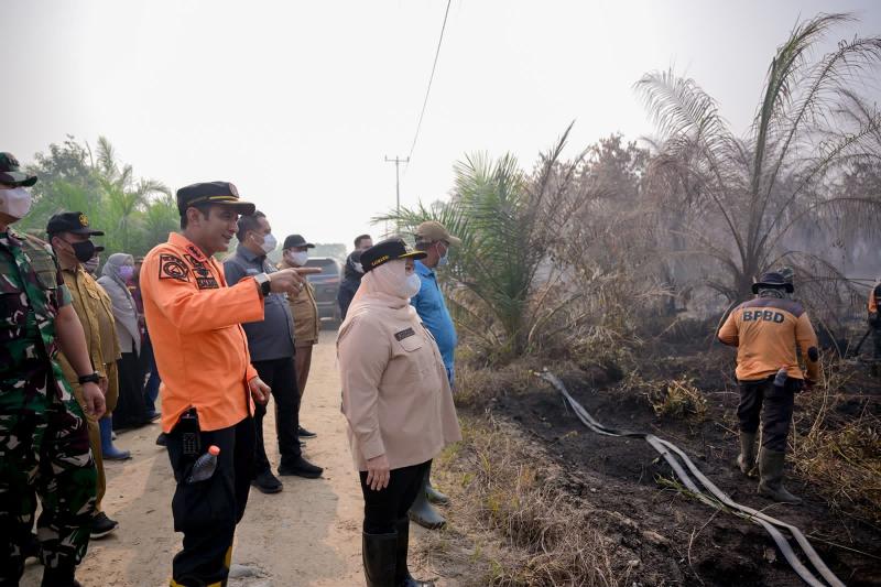 Kasmarni Pastikan Karhutla Sungai Meranti Ditangani Tuntas
