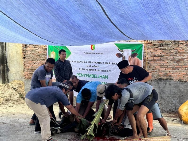 PWI Riau Akan Selenggarakan Kegiatan Kurban, Dapat Dukungan dari PT Riau Petroleum Rokan